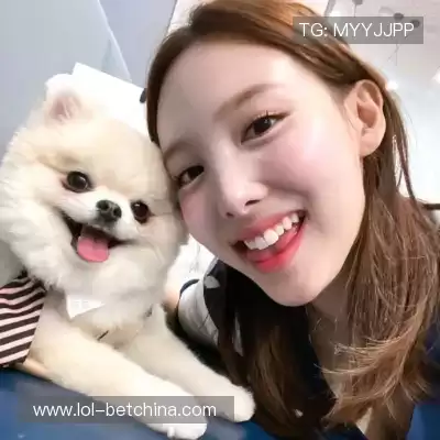 梅鹃仪